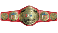 Wcw united states tag team championship