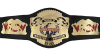WCW Cruiserweight Championship