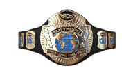 WCW World Heavyweight Championship