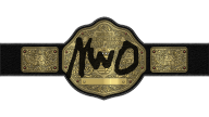 WCW World Heavyweight Championship (nWo - Hollywood Hogan)