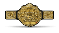 Wcw world heavyweight championship