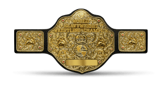 Wcw world heavyweight championship