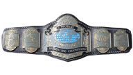 NWA World Tag Team Championship