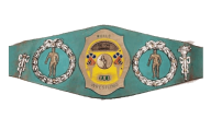NWA World Tag Team Championship