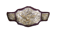 NWA World Tag Team Championship