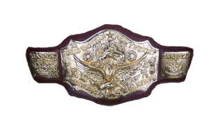 NWA World Tag Team Championship