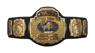 WCW World Tag Team Championship