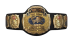 WCW World Tag Team Championship