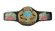 WCW World Tag Team Championship