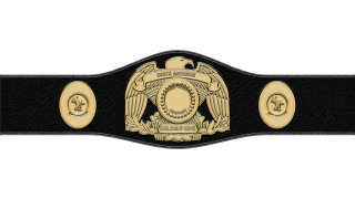 WWC North American Tag Team Championship