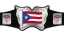 WWC Puerto Rico Heavyweight Championship