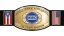 WWC World Tag Team Championship