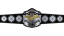 WWC Universal Heavyweight Championship