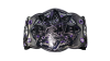 WWE Evolve Championship