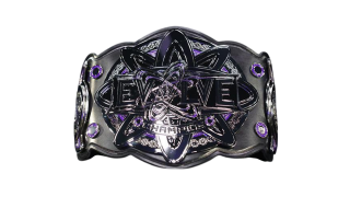 WWE Evolve Championship