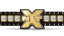 NXT Championship