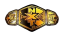 NXT Tag Team Championship