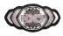 NXT Women's Championship