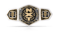 Nxt womens tag team championship