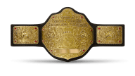 World heavyweight championship