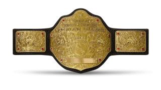 World heavyweight championship