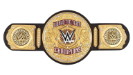 World tag team championship 24