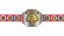 World Tag Team Championship