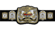 WWF Tag Team Championship