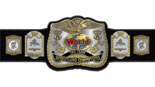 WWF Tag Team Championship