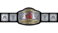 WWF Tag Team Championship