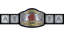 World Tag Team Championship
