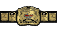 WWF Tag Team Championship