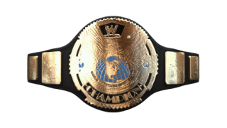 Undisputed WWF Championship