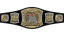 WWE Championship