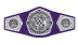 WWE / NXT Cruiserweight Championship