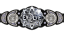 WWE Evolve Championship