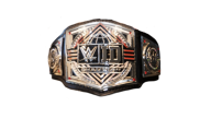 WWE ID Championship