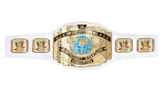 WWE Intercontinental Championship