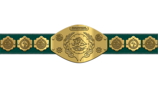 WWF Intercontinental Championship