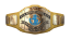 WWE Intercontinental Championship