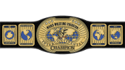 WWF Intercontinental Championship