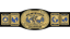 WWE Intercontinental Championship