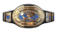WWE Intercontinental Championship
