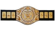 WWF Light Heavyweight Championship