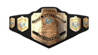 Wwe light heavyweight championship