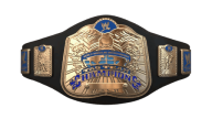 WWE Tag Team Championship