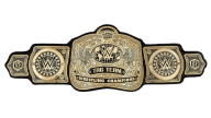 Wwe tag team championship 24