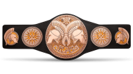WWE Raw Tag Team Championship