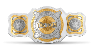 Wwe womens tag team championship