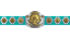 WWE Intercontinental Championship